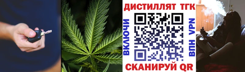 OMG как зайти  Кандалакша  Дистиллят ТГК вейп 