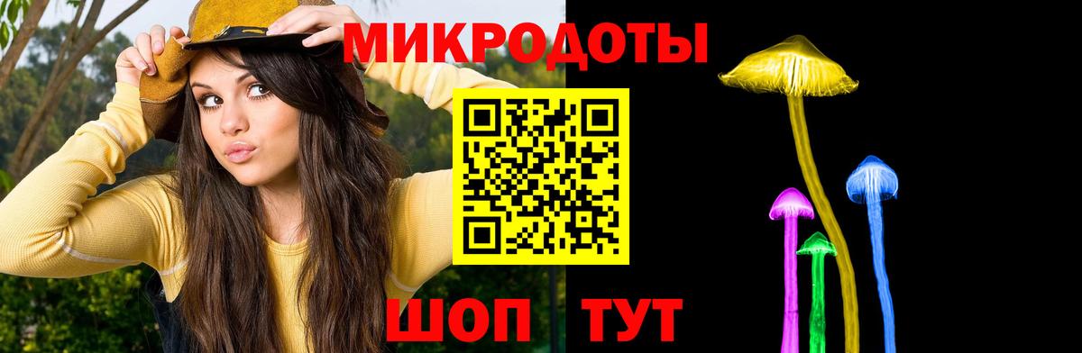Галлюциногенные грибы прущие грибы  Вход с VPN  Кандалакша 