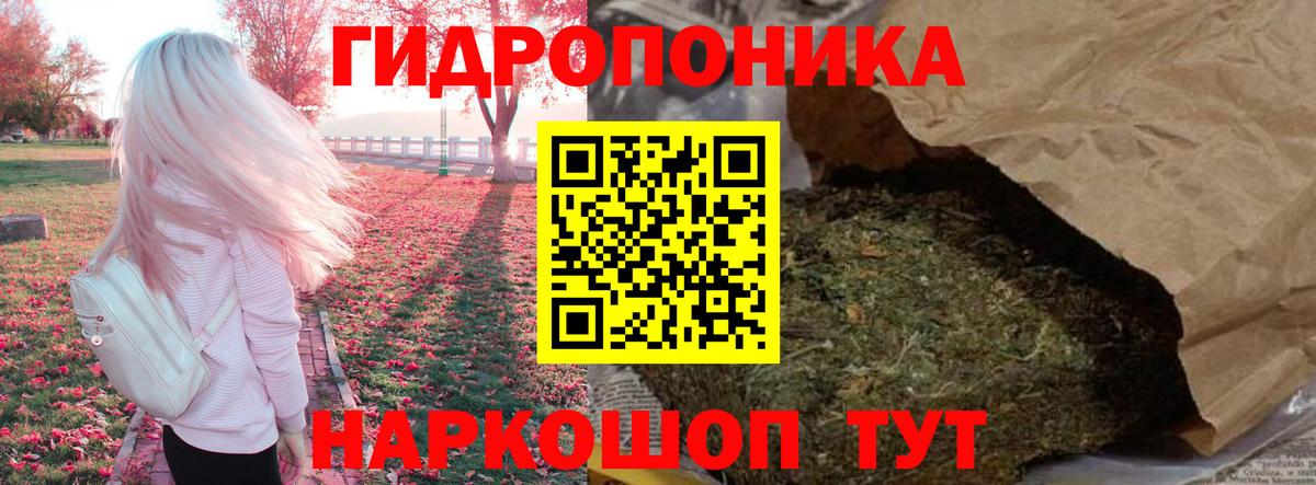 Кандалакша  Марихуана сатива  Вход с VPN  Конопля план  Конопля семена 